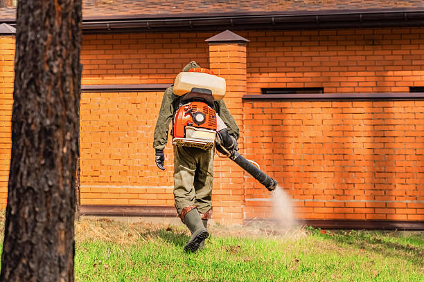 Bed Bug Clearance Verification and Documentation in Magnet Cove